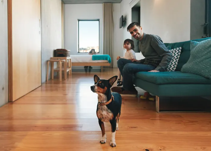 Oh! Porto Vila Nova de Gaia