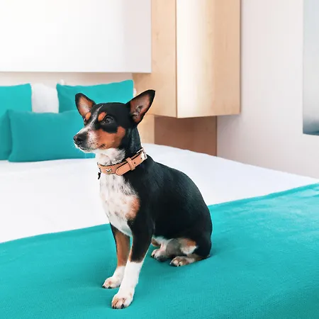 Oh! Porto Appart hôtel 4*