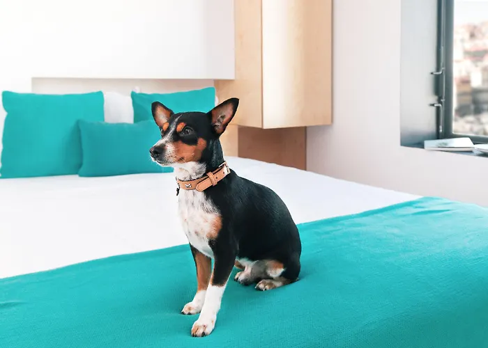 Oh! Porto Hotel apartamentowy 4*